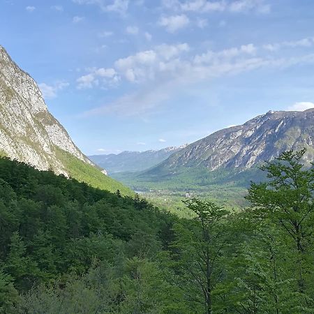 Apartments & Rooms Stare Bohinj Exterior photo